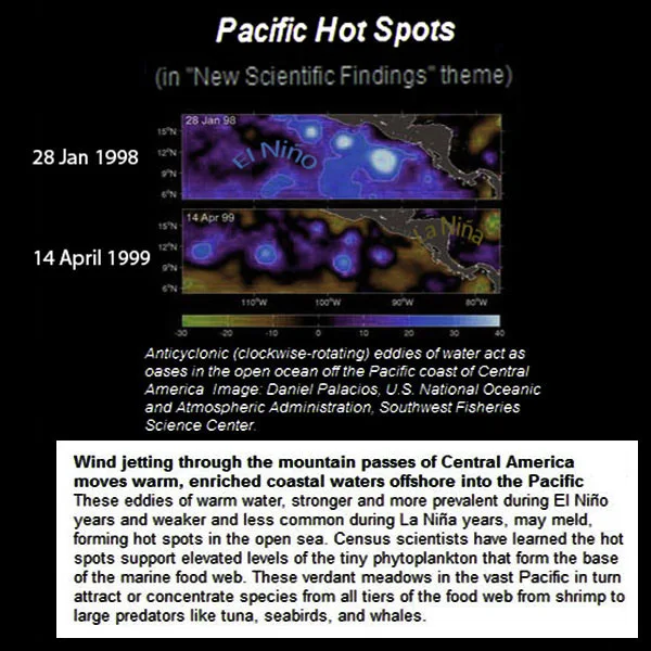 Anticyclonic (clockwise rotating) eddies of water act as oases in the open ocean off the Pacific coast of Central America. Pacific Hot Spots on 28 Jan 1998 (El-Niño-Year) and on 14 Apr 1999 (La-Niña-Year).
Wind jetting t