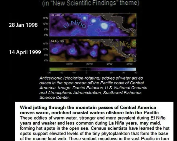 Anticyclonic (clockwise rotating) eddies of water act as oases in the open ocean off the Pacific coast of Central America. Pacific Hot Spots on 28 Jan 1998 (El-Niño-Year) and on 14 Apr 1999 (La-Niña-Year).
Wind jetting t