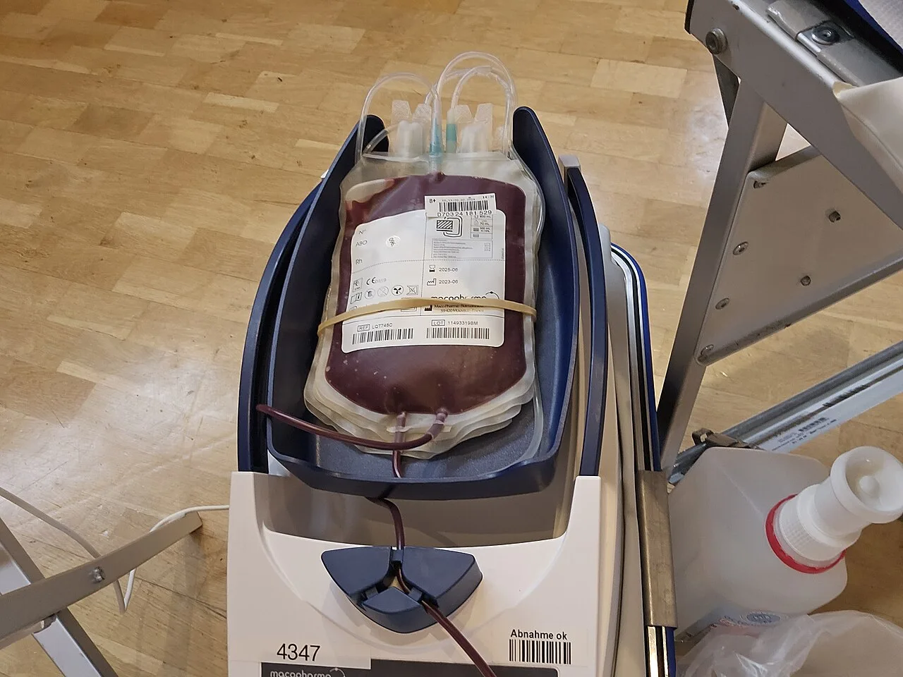 Blutspenden in der Stadthalle Tauberbischofsheim