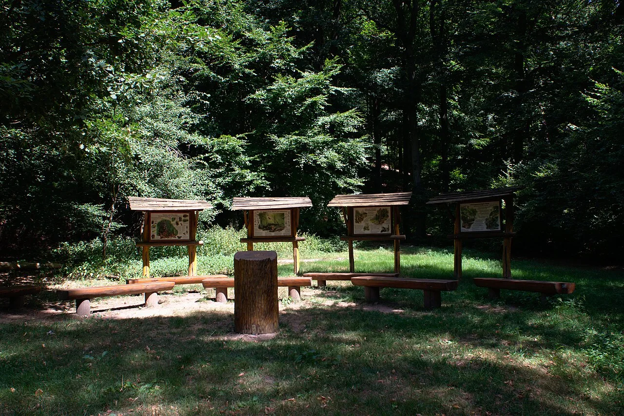 Die Lehrtafeln und Sitzbänke des Waldklassenzimmers in Kirkel.