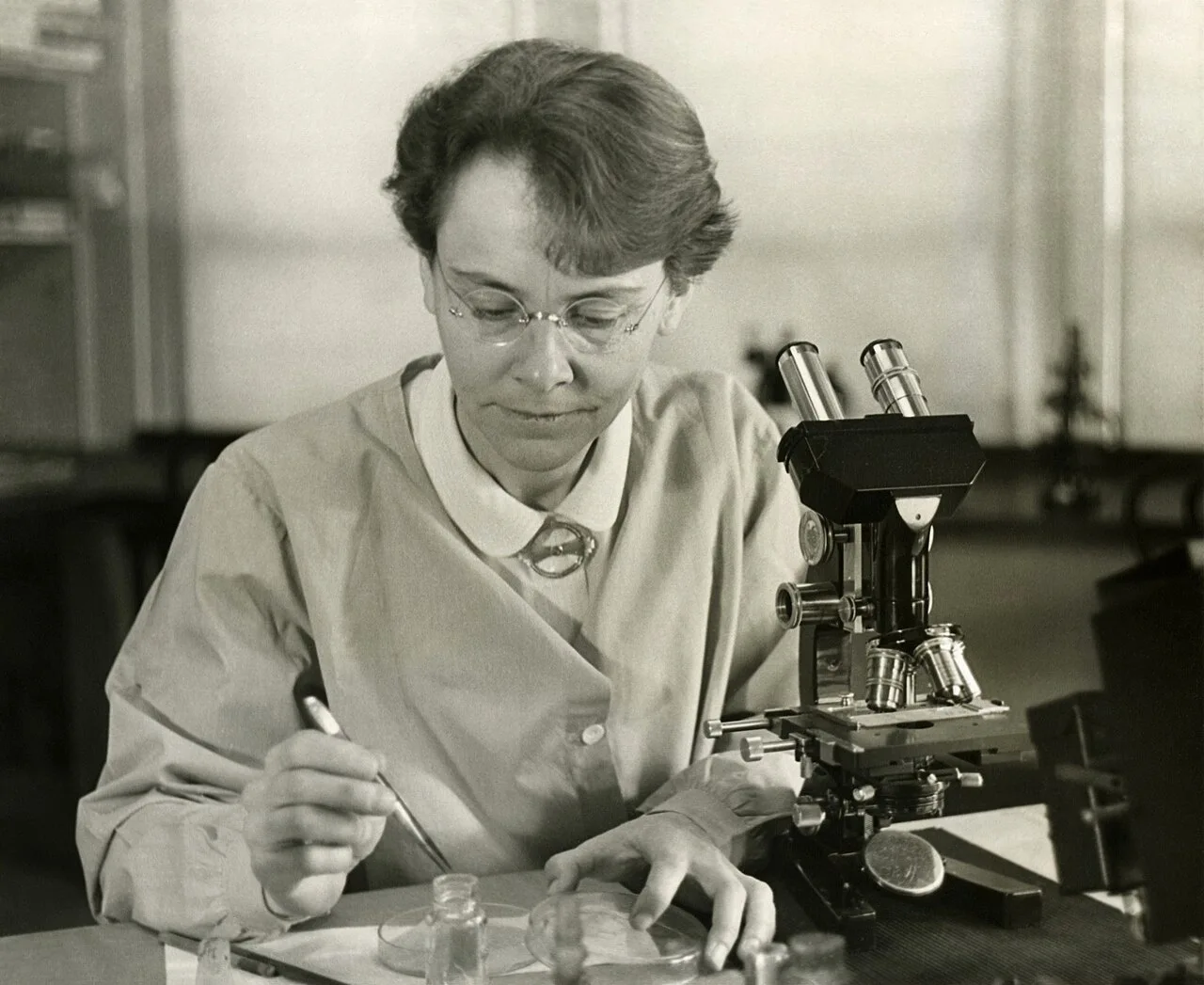 Barbara McClintock (1902-1992), Department of Genetics, Carnegie Institution at Cold Spring Harbor, New York, shown in her laboratory. This photograph was distributed when McClintock received the American Association of